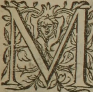 An illustration from A nievve herball, or Historie of plantes : wherein is contayned the whole discourse and perfect description of all sortes of herbes and plantes : their divers & sundry kindes ... and that not onely of those whiche are here growyng in this our countrie of Englande, but of all others also of forrayne realmes commonly used in physicke ; first set foorth in the Doutche or Almaigne tongue, 1578, leaf 158