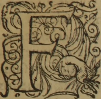 An illustration from A nievve herball, or Historie of plantes : wherein is contayned the whole discourse and perfect description of all sortes of herbes and plantes : their divers & sundry kindes ... and that not onely of those whiche are here growyng in this our countrie of Englande, but of all others also of forrayne realmes commonly used in physicke ; first set foorth in the Doutche or Almaigne tongue, 1578, leaf 20