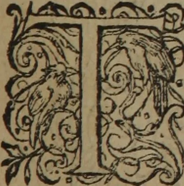 An illustration from A nievve herball, or Historie of plantes : wherein is contayned the whole discourse and perfect description of all sortes of herbes and plantes : their divers & sundry kindes ... and that not onely of those whiche are here growyng in this our countrie of Englande, but of all others also of forrayne realmes commonly used in physicke ; first set foorth in the Doutche or Almaigne tongue, 1578, leaf 242
