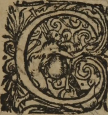 An illustration from A nievve herball, or Historie of plantes : wherein is contayned the whole discourse and perfect description of all sortes of herbes and plantes : their divers & sundry kindes ... and that not onely of those whiche are here growyng in this our countrie of Englande, but of all others also of forrayne realmes commonly used in physicke ; first set foorth in the Doutche or Almaigne tongue, 1578, leaf 401