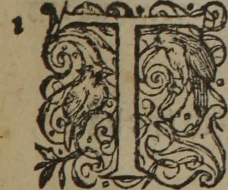 An illustration from A nievve herball, or Historie of plantes : wherein is contayned the whole discourse and perfect description of all sortes of herbes and plantes : their divers & sundry kindes ... and that not onely of those whiche are here growyng in this our countrie of Englande, but of all others also of forrayne realmes commonly used in physicke ; first set foorth in the Doutche or Almaigne tongue, 1578, leaf 404