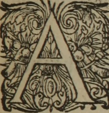 An illustration from A nievve herball, or Historie of plantes : wherein is contayned the whole discourse and perfect description of all sortes of herbes and plantes : their divers & sundry kindes ... and that not onely of those whiche are here growyng in this our countrie of Englande, but of all others also of forrayne realmes commonly used in physicke ; first set foorth in the Doutche or Almaigne tongue, 1578, leaf 406