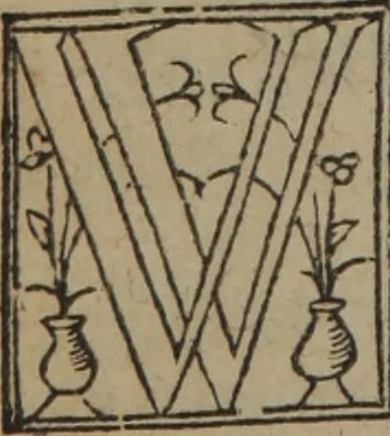 An illustration from A nievve herball, or Historie of plantes : wherein is contayned the whole discourse and perfect description of all sortes of herbes and plantes : their divers & sundry kindes ... and that not onely of those whiche are here growyng in this our countrie of Englande, but of all others also of forrayne realmes commonly used in physicke ; first set foorth in the Doutche or Almaigne tongue, 1578, leaf 407