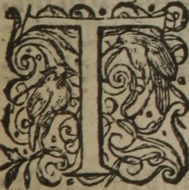 An illustration from A nievve herball, or Historie of plantes : wherein is contayned the whole discourse and perfect description of all sortes of herbes and plantes : their divers & sundry kindes ... and that not onely of those whiche are here growyng in this our countrie of Englande, but of all others also of forrayne realmes commonly used in physicke ; first set foorth in the Doutche or Almaigne tongue, 1578, leaf 412