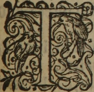 An illustration from A nievve herball, or Historie of plantes : wherein is contayned the whole discourse and perfect description of all sortes of herbes and plantes : their divers & sundry kindes ... and that not onely of those whiche are here growyng in this our countrie of Englande, but of all others also of forrayne realmes commonly used in physicke ; first set foorth in the Doutche or Almaigne tongue, 1578, leaf 414