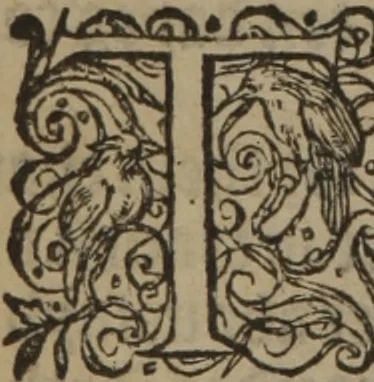 An illustration from A nievve herball, or Historie of plantes : wherein is contayned the whole discourse and perfect description of all sortes of herbes and plantes : their divers & sundry kindes ... and that not onely of those whiche are here growyng in this our countrie of Englande, but of all others also of forrayne realmes commonly used in physicke ; first set foorth in the Doutche or Almaigne tongue, 1578, leaf 419