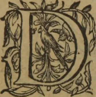 An illustration from A nievve herball, or Historie of plantes : wherein is contayned the whole discourse and perfect description of all sortes of herbes and plantes : their divers & sundry kindes ... and that not onely of those whiche are here growyng in this our countrie of Englande, but of all others also of forrayne realmes commonly used in physicke ; first set foorth in the Doutche or Almaigne tongue, 1578, leaf 425