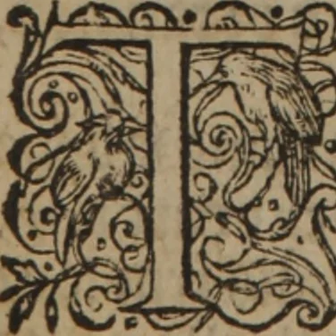 An illustration from A nievve herball, or Historie of plantes : wherein is contayned the whole discourse and perfect description of all sortes of herbes and plantes : their divers & sundry kindes ... and that not onely of those whiche are here growyng in this our countrie of Englande, but of all others also of forrayne realmes commonly used in physicke ; first set foorth in the Doutche or Almaigne tongue, 1578, leaf 427
