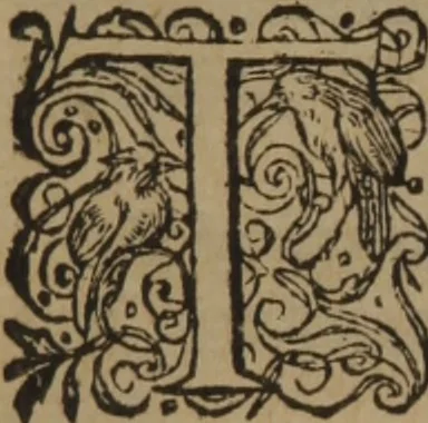 An illustration from A nievve herball, or Historie of plantes : wherein is contayned the whole discourse and perfect description of all sortes of herbes and plantes : their divers & sundry kindes ... and that not onely of those whiche are here growyng in this our countrie of Englande, but of all others also of forrayne realmes commonly used in physicke ; first set foorth in the Doutche or Almaigne tongue, 1578, leaf 429