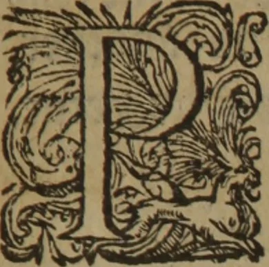 An illustration from A nievve herball, or Historie of plantes : wherein is contayned the whole discourse and perfect description of all sortes of herbes and plantes : their divers & sundry kindes ... and that not onely of those whiche are here growyng in this our countrie of Englande, but of all others also of forrayne realmes commonly used in physicke ; first set foorth in the Doutche or Almaigne tongue, 1578, leaf 430