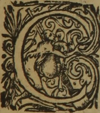 An illustration from A nievve herball, or Historie of plantes : wherein is contayned the whole discourse and perfect description of all sortes of herbes and plantes : their divers & sundry kindes ... and that not onely of those whiche are here growyng in this our countrie of Englande, but of all others also of forrayne realmes commonly used in physicke ; first set foorth in the Doutche or Almaigne tongue, 1578, leaf 434