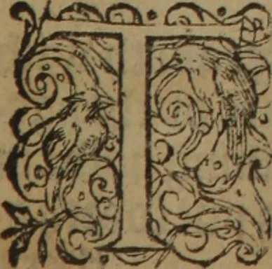 An illustration from A nievve herball, or Historie of plantes : wherein is contayned the whole discourse and perfect description of all sortes of herbes and plantes : their divers & sundry kindes ... and that not onely of those whiche are here growyng in this our countrie of Englande, but of all others also of forrayne realmes commonly used in physicke ; first set foorth in the Doutche or Almaigne tongue, 1578, leaf 438