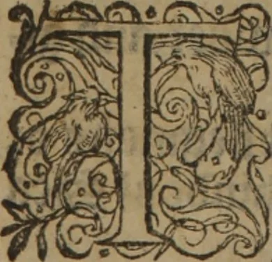 An illustration from A nievve herball, or Historie of plantes : wherein is contayned the whole discourse and perfect description of all sortes of herbes and plantes : their divers & sundry kindes ... and that not onely of those whiche are here growyng in this our countrie of Englande, but of all others also of forrayne realmes commonly used in physicke ; first set foorth in the Doutche or Almaigne tongue, 1578, leaf 443