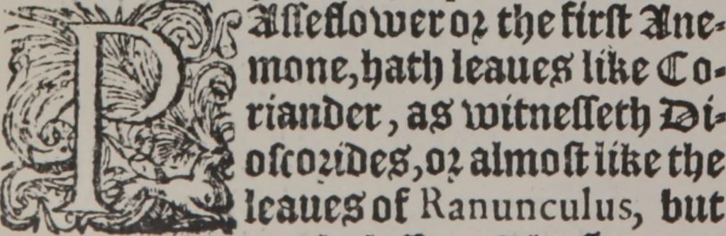 An illustration from A nievve herball, or Historie of plantes : wherein is contayned the whole discourse and perfect description of all sortes of herbes and plantes : their divers & sundry kindes ... and that not onely of those whiche are here growyng in this our countrie of Englande, but of all others also of forrayne realmes commonly used in physicke ; first set foorth in the Doutche or Almaigne tongue, 1578, leaf 449