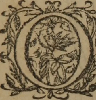 An illustration from A nievve herball, or Historie of plantes : wherein is contayned the whole discourse and perfect description of all sortes of herbes and plantes : their divers & sundry kindes ... and that not onely of those whiche are here growyng in this our countrie of Englande, but of all others also of forrayne realmes commonly used in physicke ; first set foorth in the Doutche or Almaigne tongue, 1578, leaf 457
