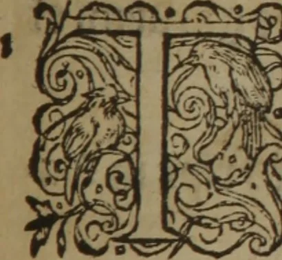 An illustration from A nievve herball, or Historie of plantes : wherein is contayned the whole discourse and perfect description of all sortes of herbes and plantes : their divers & sundry kindes ... and that not onely of those whiche are here growyng in this our countrie of Englande, but of all others also of forrayne realmes commonly used in physicke ; first set foorth in the Doutche or Almaigne tongue, 1578, leaf 468