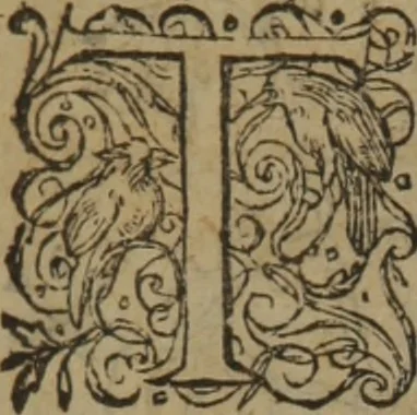 An illustration from A nievve herball, or Historie of plantes : wherein is contayned the whole discourse and perfect description of all sortes of herbes and plantes : their divers & sundry kindes ... and that not onely of those whiche are here growyng in this our countrie of Englande, but of all others also of forrayne realmes commonly used in physicke ; first set foorth in the Doutche or Almaigne tongue, 1578, leaf 473