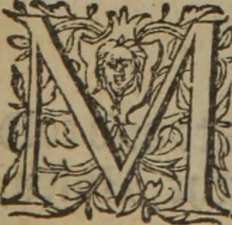 An illustration from A nievve herball, or Historie of plantes : wherein is contayned the whole discourse and perfect description of all sortes of herbes and plantes : their divers & sundry kindes ... and that not onely of those whiche are here growyng in this our countrie of Englande, but of all others also of forrayne realmes commonly used in physicke ; first set foorth in the Doutche or Almaigne tongue, 1578, leaf 489