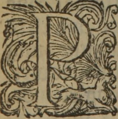 An illustration from A nievve herball, or Historie of plantes : wherein is contayned the whole discourse and perfect description of all sortes of herbes and plantes : their divers & sundry kindes ... and that not onely of those whiche are here growyng in this our countrie of Englande, but of all others also of forrayne realmes commonly used in physicke ; first set foorth in the Doutche or Almaigne tongue, 1578, leaf 491