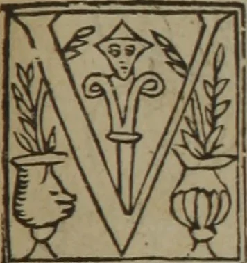 An illustration from A nievve herball, or Historie of plantes : wherein is contayned the whole discourse and perfect description of all sortes of herbes and plantes : their divers & sundry kindes ... and that not onely of those whiche are here growyng in this our countrie of Englande, but of all others also of forrayne realmes commonly used in physicke ; first set foorth in the Doutche or Almaigne tongue, 1578, leaf 498