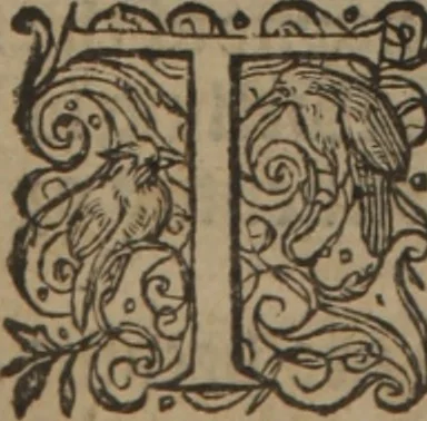 An illustration from A nievve herball, or Historie of plantes : wherein is contayned the whole discourse and perfect description of all sortes of herbes and plantes : their divers & sundry kindes ... and that not onely of those whiche are here growyng in this our countrie of Englande, but of all others also of forrayne realmes commonly used in physicke ; first set foorth in the Doutche or Almaigne tongue, 1578, leaf 509