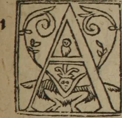 An illustration from A nievve herball, or Historie of plantes : wherein is contayned the whole discourse and perfect description of all sortes of herbes and plantes : their divers & sundry kindes ... and that not onely of those whiche are here growyng in this our countrie of Englande, but of all others also of forrayne realmes commonly used in physicke ; first set foorth in the Doutche or Almaigne tongue, 1578, leaf 510