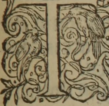 An illustration from A nievve herball, or Historie of plantes : wherein is contayned the whole discourse and perfect description of all sortes of herbes and plantes : their divers & sundry kindes ... and that not onely of those whiche are here growyng in this our countrie of Englande, but of all others also of forrayne realmes commonly used in physicke ; first set foorth in the Doutche or Almaigne tongue, 1578, leaf 514