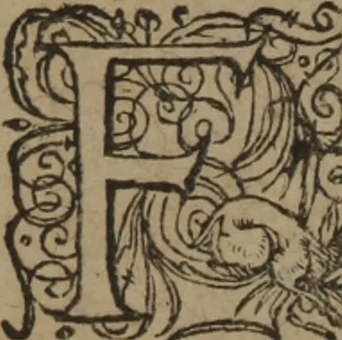 An illustration from A nievve herball, or Historie of plantes : wherein is contayned the whole discourse and perfect description of all sortes of herbes and plantes : their divers & sundry kindes ... and that not onely of those whiche are here growyng in this our countrie of Englande, but of all others also of forrayne realmes commonly used in physicke ; first set foorth in the Doutche or Almaigne tongue, 1578, leaf 519