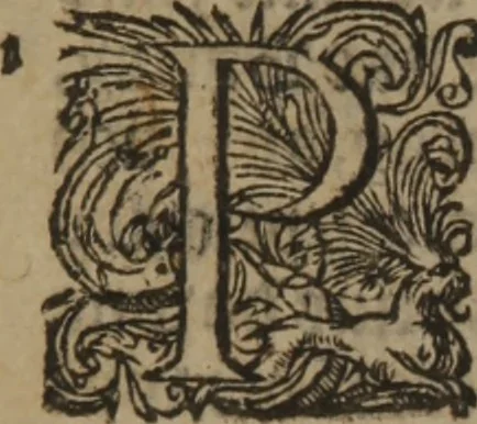 An illustration from A nievve herball, or Historie of plantes : wherein is contayned the whole discourse and perfect description of all sortes of herbes and plantes : their divers & sundry kindes ... and that not onely of those whiche are here growyng in this our countrie of Englande, but of all others also of forrayne realmes commonly used in physicke ; first set foorth in the Doutche or Almaigne tongue, 1578, leaf 531