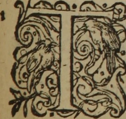 An illustration from A nievve herball, or Historie of plantes : wherein is contayned the whole discourse and perfect description of all sortes of herbes and plantes : their divers & sundry kindes ... and that not onely of those whiche are here growyng in this our countrie of Englande, but of all others also of forrayne realmes commonly used in physicke ; first set foorth in the Doutche or Almaigne tongue, 1578, leaf 534