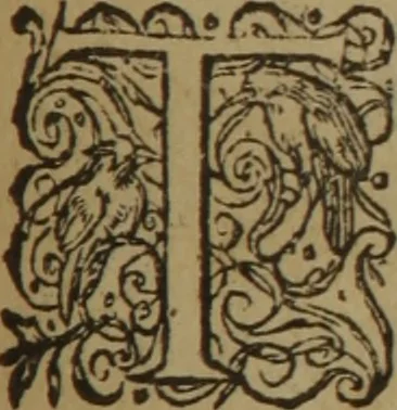 An illustration from A nievve herball, or Historie of plantes : wherein is contayned the whole discourse and perfect description of all sortes of herbes and plantes : their divers & sundry kindes ... and that not onely of those whiche are here growyng in this our countrie of Englande, but of all others also of forrayne realmes commonly used in physicke ; first set foorth in the Doutche or Almaigne tongue, 1578, leaf 552