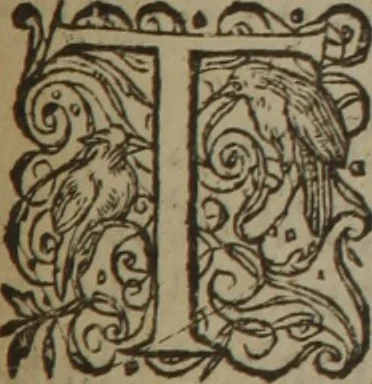 An illustration from A nievve herball, or Historie of plantes : wherein is contayned the whole discourse and perfect description of all sortes of herbes and plantes : their divers & sundry kindes ... and that not onely of those whiche are here growyng in this our countrie of Englande, but of all others also of forrayne realmes commonly used in physicke ; first set foorth in the Doutche or Almaigne tongue, 1578, leaf 556