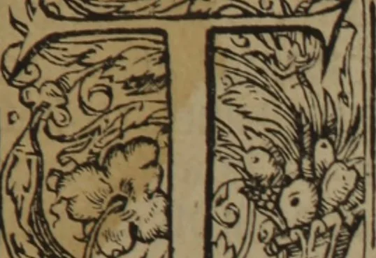 An illustration from A nievve herball, or Historie of plantes : wherein is contayned the whole discourse and perfect description of all sortes of herbes and plantes : their divers & sundry kindes ... and that not onely of those whiche are here growyng in this our countrie of Englande, but of all others also of forrayne realmes commonly used in physicke ; first set foorth in the Doutche or Almaigne tongue, 1578, leaf 6