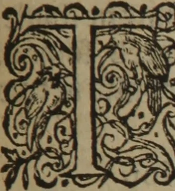 An illustration from A nievve herball, or Historie of plantes : wherein is contayned the whole discourse and perfect description of all sortes of herbes and plantes : their divers & sundry kindes ... and that not onely of those whiche are here growyng in this our countrie of Englande, but of all others also of forrayne realmes commonly used in physicke ; first set foorth in the Doutche or Almaigne tongue, 1578, leaf 606