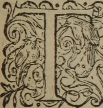 An illustration from A nievve herball, or Historie of plantes : wherein is contayned the whole discourse and perfect description of all sortes of herbes and plantes : their divers & sundry kindes ... and that not onely of those whiche are here growyng in this our countrie of Englande, but of all others also of forrayne realmes commonly used in physicke ; first set foorth in the Doutche or Almaigne tongue, 1578, leaf 670