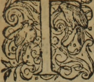 An illustration from A nievve herball, or Historie of plantes : wherein is contayned the whole discourse and perfect description of all sortes of herbes and plantes : their divers & sundry kindes ... and that not onely of those whiche are here growyng in this our countrie of Englande, but of all others also of forrayne realmes commonly used in physicke ; first set foorth in the Doutche or Almaigne tongue, 1578, leaf 675