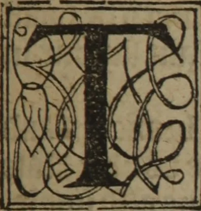 An illustration from A nievve herball, or Historie of plantes : wherein is contayned the whole discourse and perfect description of all sortes of herbes and plantes : their divers & sundry kindes ... and that not onely of those whiche are here growyng in this our countrie of Englande, but of all others also of forrayne realmes commonly used in physicke ; first set foorth in the Doutche or Almaigne tongue, 1578, leaf 680