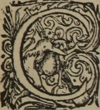 An illustration from A nievve herball, or Historie of plantes : wherein is contayned the whole discourse and perfect description of all sortes of herbes and plantes : their divers & sundry kindes ... and that not onely of those whiche are here growyng in this our countrie of Englande, but of all others also of forrayne realmes commonly used in physicke ; first set foorth in the Doutche or Almaigne tongue, 1578, leaf 696