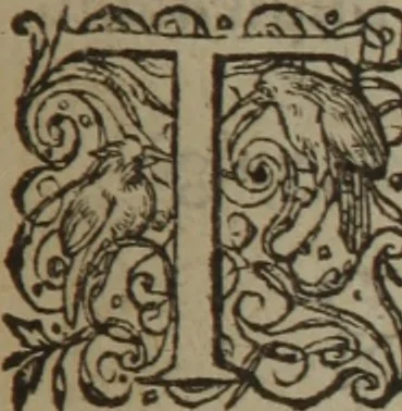 An illustration from A nievve herball, or Historie of plantes : wherein is contayned the whole discourse and perfect description of all sortes of herbes and plantes : their divers & sundry kindes ... and that not onely of those whiche are here growyng in this our countrie of Englande, but of all others also of forrayne realmes commonly used in physicke ; first set foorth in the Doutche or Almaigne tongue, 1578, leaf 708