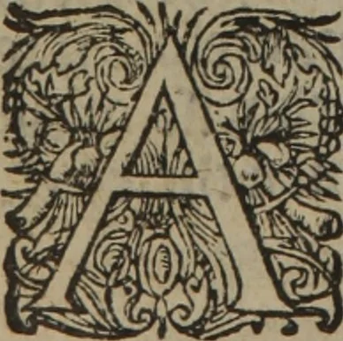 An illustration from A nievve herball, or Historie of plantes : wherein is contayned the whole discourse and perfect description of all sortes of herbes and plantes : their divers & sundry kindes ... and that not onely of those whiche are here growyng in this our countrie of Englande, but of all others also of forrayne realmes commonly used in physicke ; first set foorth in the Doutche or Almaigne tongue, 1578, leaf 717