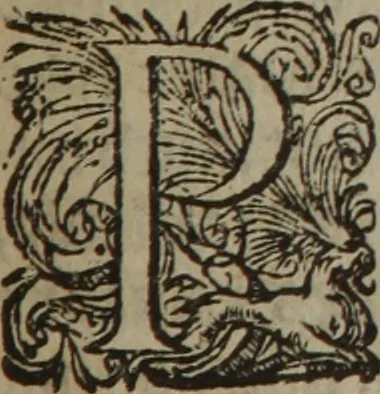 An illustration from A nievve herball, or Historie of plantes : wherein is contayned the whole discourse and perfect description of all sortes of herbes and plantes : their divers & sundry kindes ... and that not onely of those whiche are here growyng in this our countrie of Englande, but of all others also of forrayne realmes commonly used in physicke ; first set foorth in the Doutche or Almaigne tongue, 1578, leaf 726