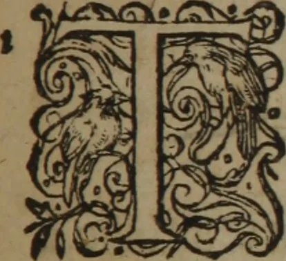 An illustration from A nievve herball, or Historie of plantes : wherein is contayned the whole discourse and perfect description of all sortes of herbes and plantes : their divers & sundry kindes ... and that not onely of those whiche are here growyng in this our countrie of Englande, but of all others also of forrayne realmes commonly used in physicke ; first set foorth in the Doutche or Almaigne tongue, 1578, leaf 740