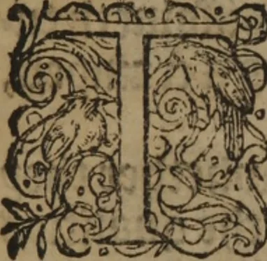 An illustration from A nievve herball, or Historie of plantes : wherein is contayned the whole discourse and perfect description of all sortes of herbes and plantes : their divers & sundry kindes ... and that not onely of those whiche are here growyng in this our countrie of Englande, but of all others also of forrayne realmes commonly used in physicke ; first set foorth in the Doutche or Almaigne tongue, 1578, leaf 767