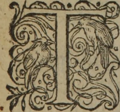 An illustration from A nievve herball, or Historie of plantes : wherein is contayned the whole discourse and perfect description of all sortes of herbes and plantes : their divers & sundry kindes ... and that not onely of those whiche are here growyng in this our countrie of Englande, but of all others also of forrayne realmes commonly used in physicke ; first set foorth in the Doutche or Almaigne tongue, 1578, leaf 771