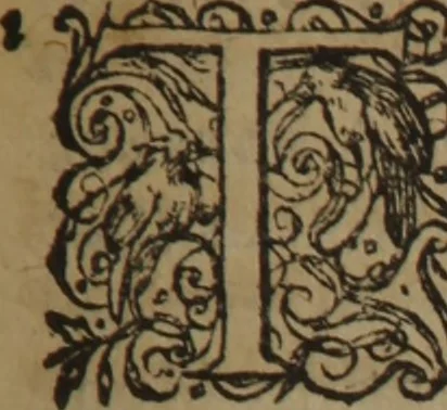 An illustration from A nievve herball, or Historie of plantes : wherein is contayned the whole discourse and perfect description of all sortes of herbes and plantes : their divers & sundry kindes ... and that not onely of those whiche are here growyng in this our countrie of Englande, but of all others also of forrayne realmes commonly used in physicke ; first set foorth in the Doutche or Almaigne tongue, 1578, leaf 778