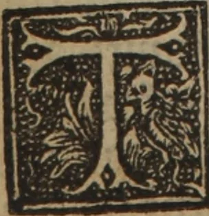 An illustration from A nievve herball, or Historie of plantes : wherein is contayned the whole discourse and perfect description of all sortes of herbes and plantes : their divers & sundry kindes ... and that not onely of those whiche are here growyng in this our countrie of Englande, but of all others also of forrayne realmes commonly used in physicke ; first set foorth in the Doutche or Almaigne tongue, 1578, leaf 783