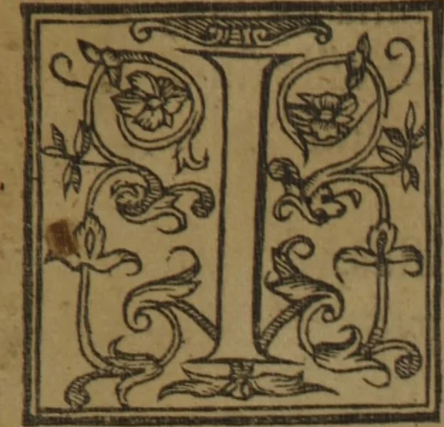 An illustration from A nievve herball, or Historie of plantes : wherein is contayned the whole discourse and perfect description of all sortes of herbes and plantes : their divers & sundry kindes ... and that not onely of those whiche are here growyng in this our countrie of Englande, but of all others also of forrayne realmes commonly used in physicke ; first set foorth in the Doutche or Almaigne tongue, 1578, leaf 8