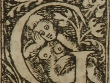 An illustration from The castel of helth corrected and in some places augmented, 1541, leaf 6