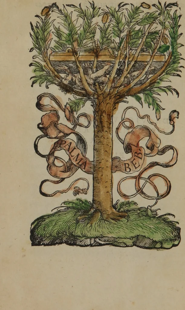 An illustration from Marsilii Ficini Florentini medici atq[ue] philosophi celeberrimi, de vita libri tres, recens iam à mendis sitúq[ue] uindicati : qvorvm primus, de studiosorum sanitate tuenda ; secundus, de vita producenda ; tertius, de vita coelitus comparanda ; apologia ; his accessit eiusdem epidemiarum antidotus, tutelae quoq[ue] bonae ualetudinis attinens ; cum omnium nouo rerum atque indice, 1529, leaf 395
