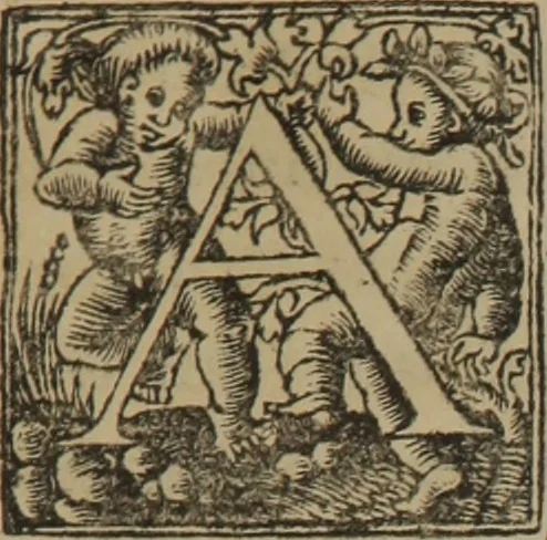 An illustration from Claudij Galeni Pergameni De temperamentis libri III : de inaequali intemperie liber I, 1545, leaf 36